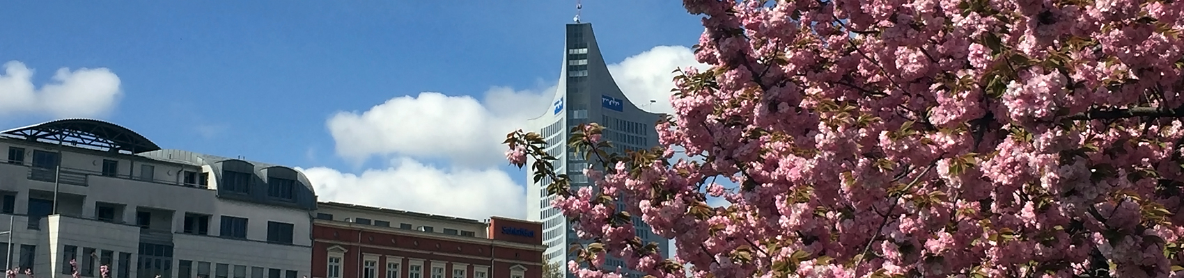 Leipzig Uniriese mit Mandelbaumblüten